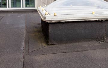 disadvantages of Coatdyke flat roofs