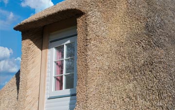 Coatdyke thatch roof disadvantages